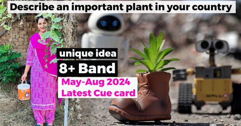 Describe an important plant in your country cue card | 8 Band Sample | May to August 2024 | IELTS Speaking